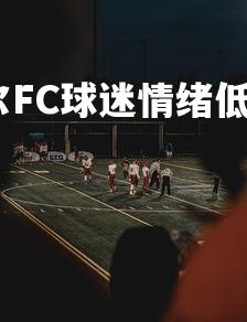 爱游戏官方网站-首尔FC球迷情绪低落，支持是否会动摇？，首尔fc名单