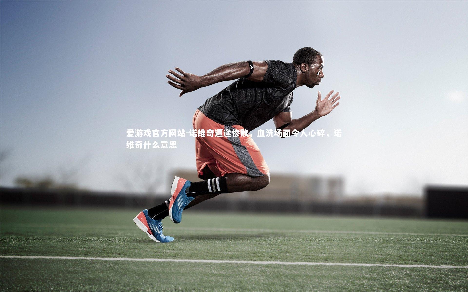 爱游戏官方网站-诺维奇遭逢惨败，血洗场面令人心碎，诺维奇什么意思