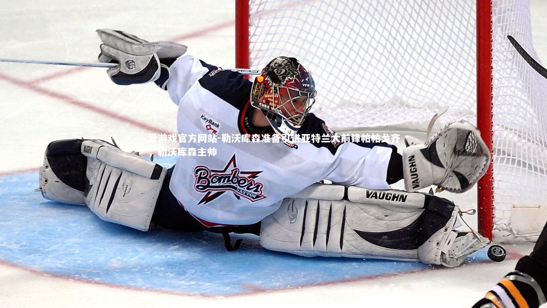 爱游戏官方网站-勒沃库森准备引进亚特兰大前锋帕帕戈齐，勒沃库森主帅